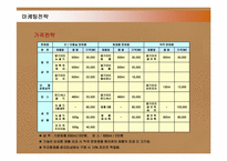 댕기머리 샴푸 마케팅전략-18