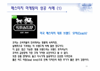 매스티지(masstige) 마케팅과 부동산-11