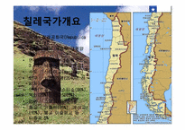 [국제기업환경] 칠레-4
