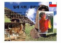 [국제기업환경] 칠레-7