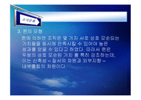 [조직행동론] 조직문화-18