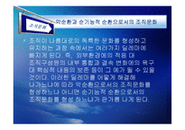 [조직행동론] 조직문화-20