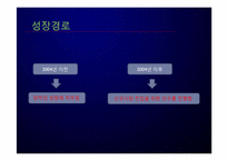 [다국적기업론] Arcelor Mittal 아르셀로미탈의 M&A 전략-9