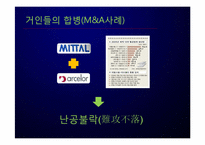 [다국적기업론] Arcelor Mittal 아르셀로미탈의 M&A 전략-19