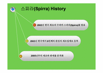 [국제마케팅] 어울림모터스 스피라 중국, 두바이 시장진출전략-4