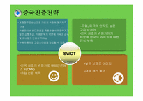 [국제마케팅] 어울림모터스 스피라 중국, 두바이 시장진출전략-12