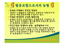 [조직행위론] 농협 조직-5