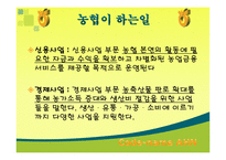 [조직행위론] 농협 조직-6