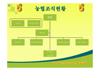 [조직행위론] 농협 조직-7