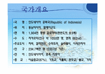 [국제기업환경론] 인도네시아-3