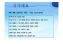 [국제기업환경론] 인도네시아-5