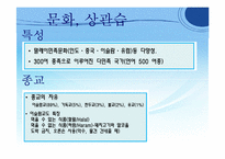 [국제기업환경론] 인도네시아-6