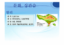 [국제기업환경론] 인도네시아-8