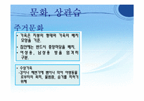 [국제기업환경론] 인도네시아-9