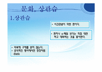 [국제기업환경론] 인도네시아-10