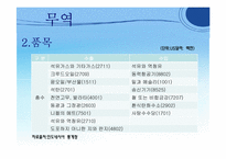 [국제기업환경론] 인도네시아-14
