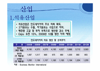 [국제기업환경론] 인도네시아-17