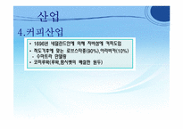 [국제기업환경론] 인도네시아-20