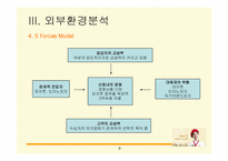 미스터피자 Mr. Pizza의 성공요인과 광고효과분석-8