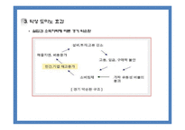 미국 자동차산업의 위기와 향후 전망-19