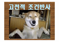 [조직행동론] 학습이론-7