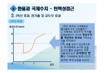 환율결정이론 레포트-15