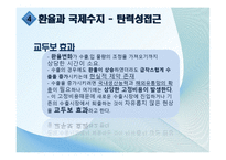 환율결정이론 레포트-16