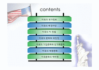 [국제기업환경론] 미국-2