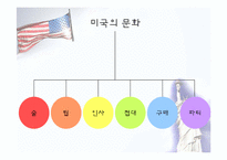 [국제기업환경론] 미국-6