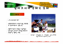 [국제기업환경론] 남아프리카 공화국-9