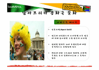 [국제기업환경론] 남아프리카 공화국-12