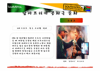 [국제기업환경론] 남아프리카 공화국-13