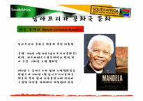 [국제기업환경론] 남아프리카 공화국-14