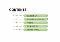 [마케팅 전략] 오토캠핑족 소개 및 시장 현황과 해외사례 분석-2