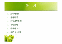 [국제마케팅] 더페이스샵 마스크팩 마케팅전략-2