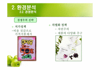[국제마케팅] 더페이스샵 마스크팩 마케팅전략-8