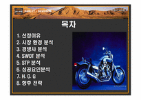 할리데이비슨 마케팅 전략-3