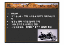 할리데이비슨 마케팅 전략-11
