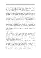 [사회복지경제학] 공공재의 제공과 생산-3