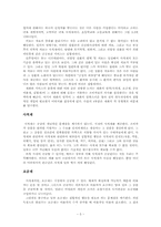 [사회복지경제론] 3장 재화와 서비스의 기본적 특성-5