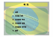 브라질의 역사와 민주화과정-2