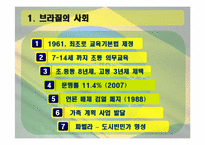 브라질의 역사와 민주화과정-8