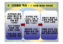 브라질의 역사와 민주화과정-12