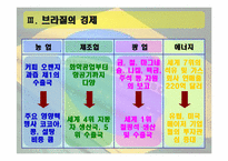브라질의 역사와 민주화과정-20