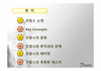 [국제기업환경론] 프랑스-2