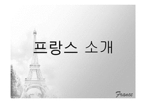 [국제기업환경론] 프랑스-3
