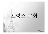 [국제기업환경론] 프랑스-8