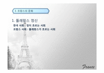 [국제기업환경론] 프랑스-9