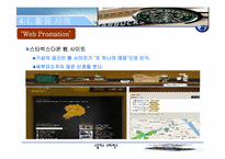 SNS(소셜네트워크 서비스),인터넷 마케팅-19