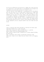 생산관리4공통)e-Collaboration의 주요형태, 운용구조, 그리고 추진 및 해결과제00-10